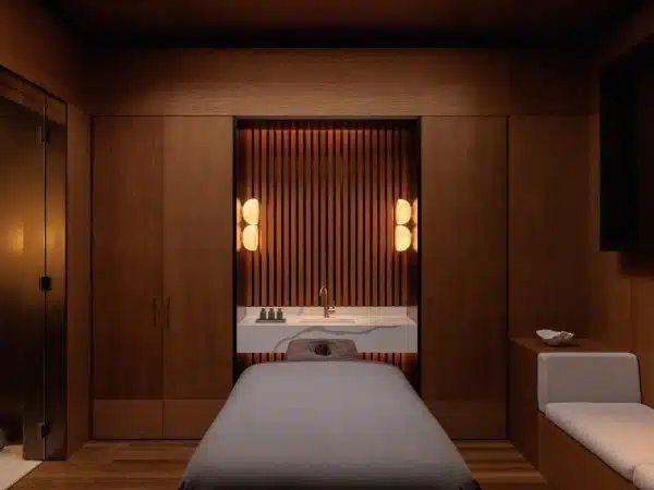 Auriga_7439_HR-600x450