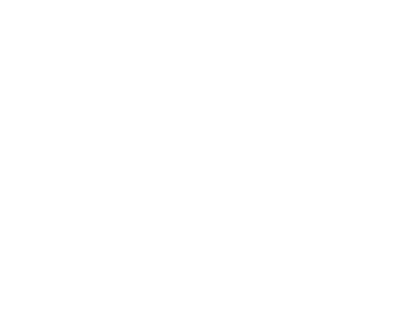THE-ALLIANCE-3-600x450