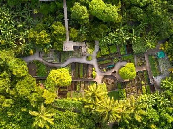 imgi_10_Soneva-Fushi-Organic-Gardens--600x450