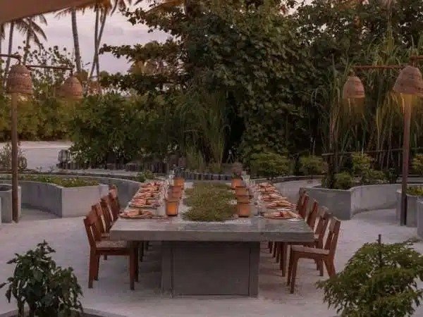 imgi_2_PATINA_MALDIVES_F_B_ROOTS_03-600x450