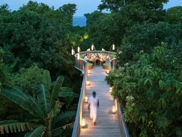 imgi_3_Soneva-Fushi-Fresh-in-the-Garden--600x450