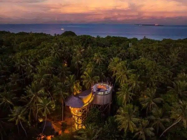 imgi_8_Soneva-Fushi-Restaurant-Tim-Raue-Pop-up-at-Flying-Sauces-600x450